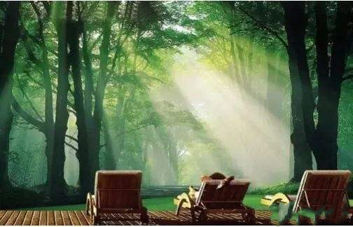 威大空氣凈化活性炭給您一個五星級的居住環(huán)境！電話：13838587319 孫經理